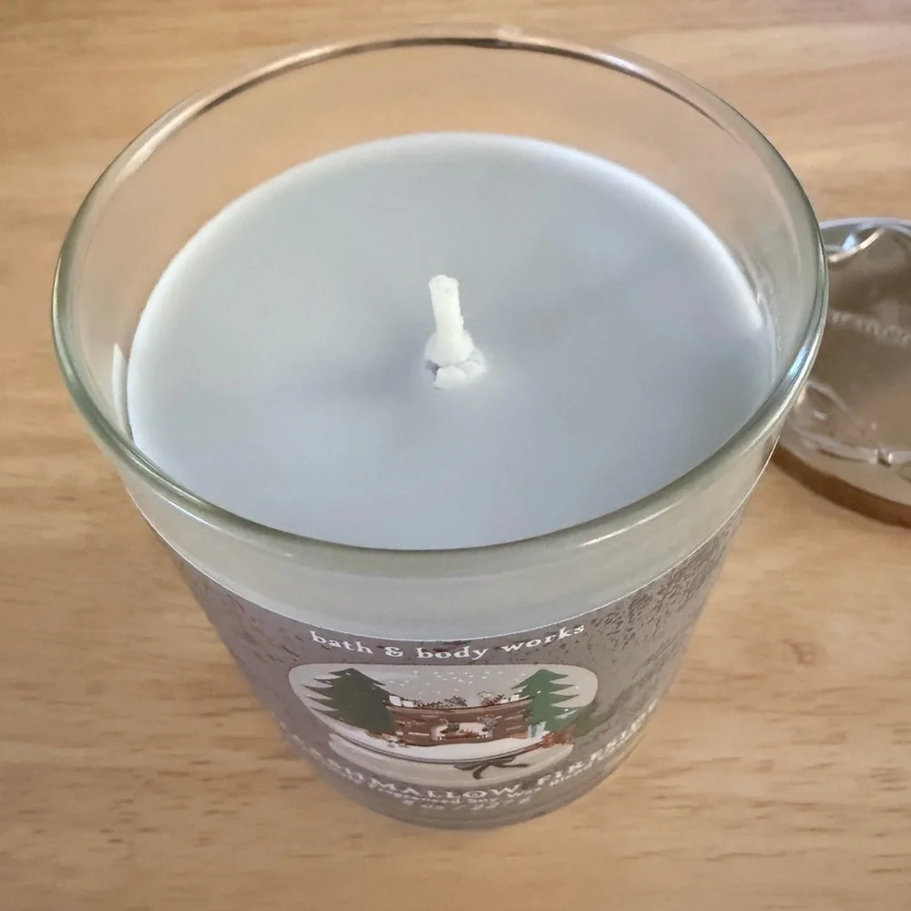 Bath & Body Works Marshmallow Fireside Candle - Silver and Green